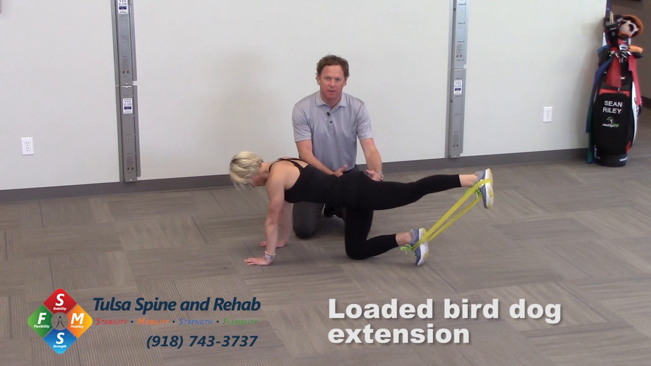 Fit Tip Loaded Bird Dog Extension Tulsa Spine and Rehab